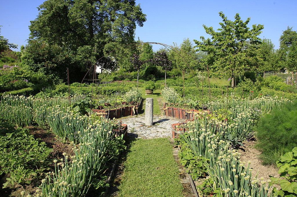 Gemüsegarten im Garten von Veronika Pitschmann