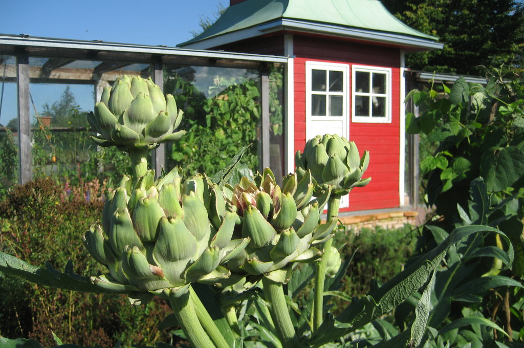 Pflanze und alter Feuerwehrturm im Garten von Veronika Pitschmann